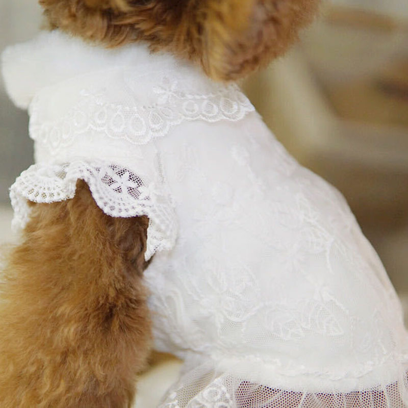 Winter Clothing Kids - White Dog Clothes Winter Fur Collar