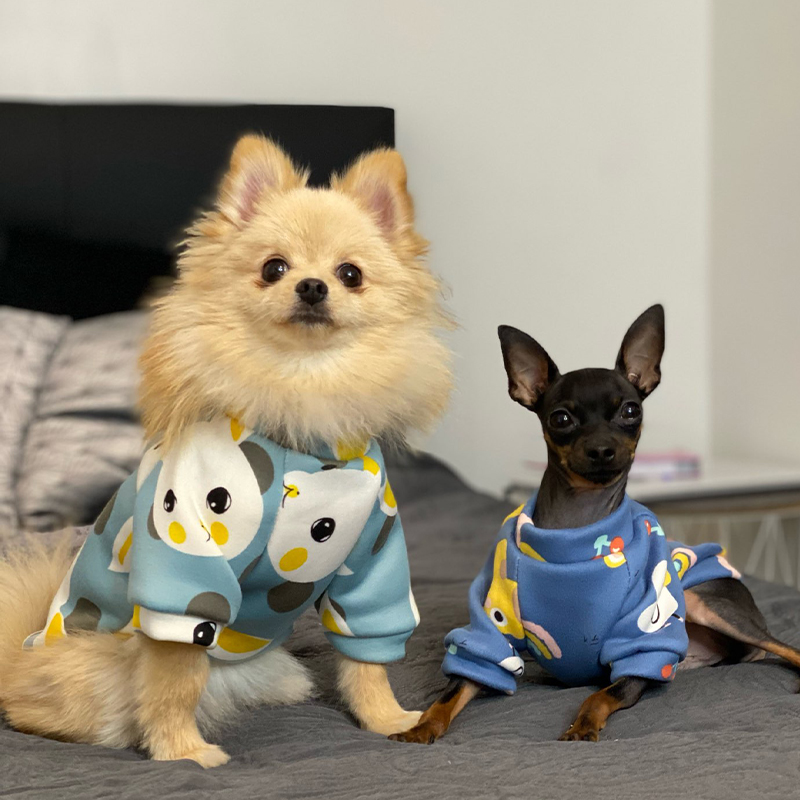 Xs Dog Clothes for Small Dogs  - Winter Clothing Kids 评论和价格