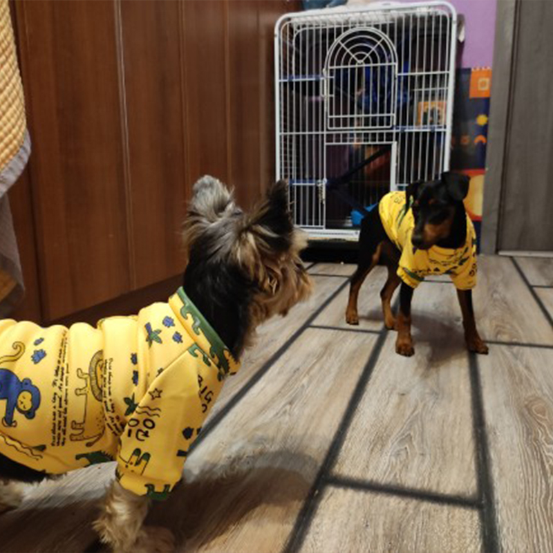 Xs Dog Clothes for Small Dogs  - Winter Clothing Kids 评论和价格