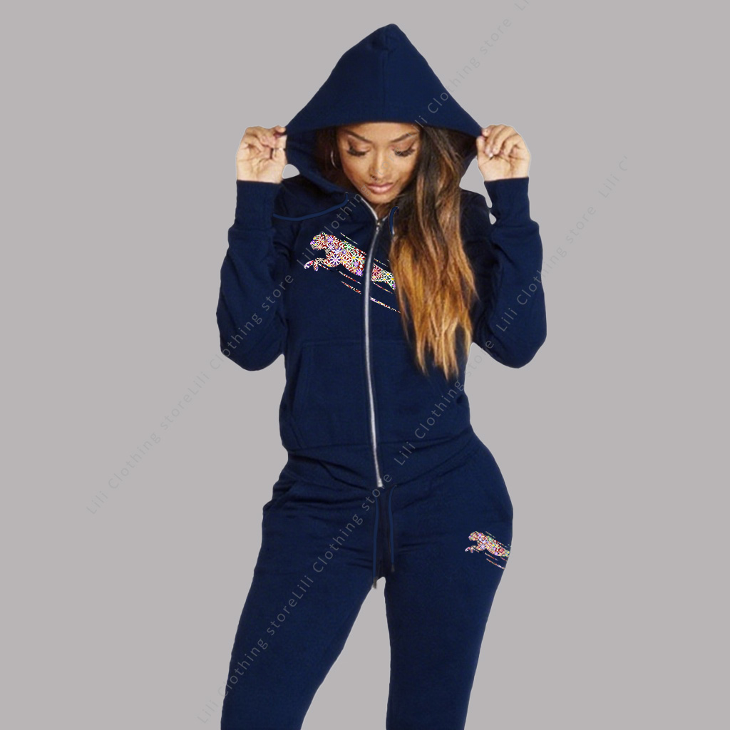 Women's Track Suit Aesthetic H - Fleece Hoodie Lined 评论和价格